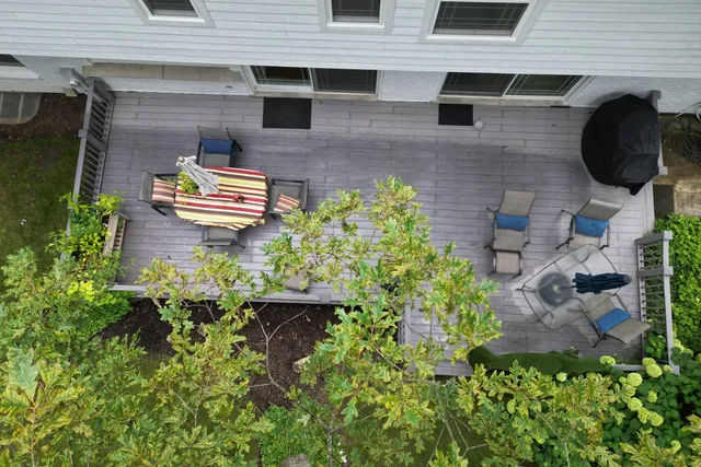 Overhead drone view of the deck through the tree canopy showing the usable footprint
